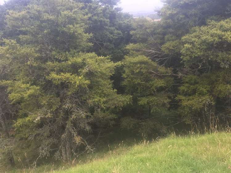 116 Port Albert Road Wellsford_7