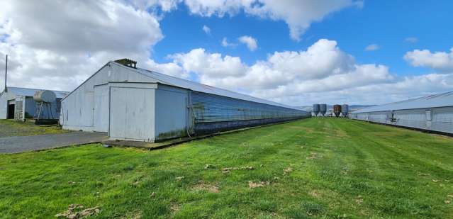 370 Karaka Road Drury_2