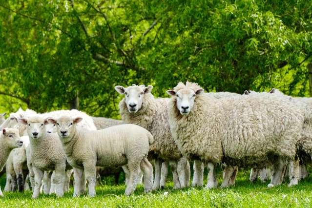 159 Ardlussa Road Longridge North_2