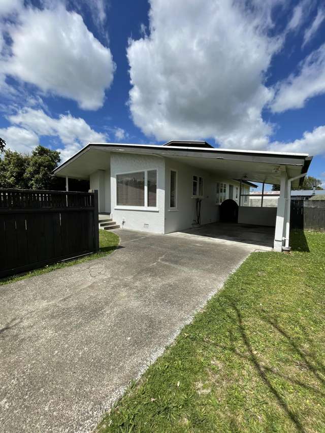 4 Bedroom in Hokowhitu