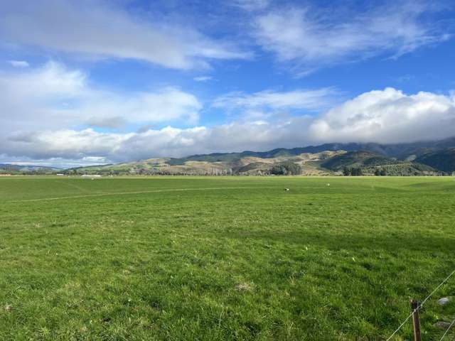 23 Triangle Road Waimate_3