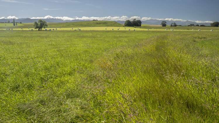 43 Taumata Island Road Carterton_18