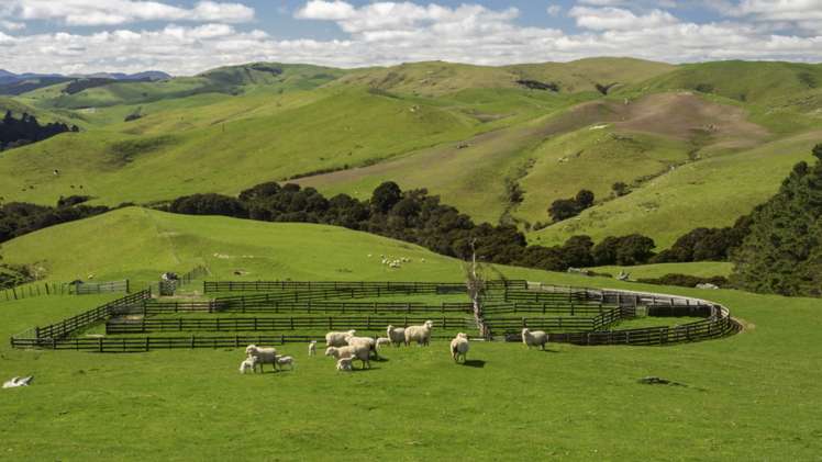 10284 Route 52 Pongaroa_15