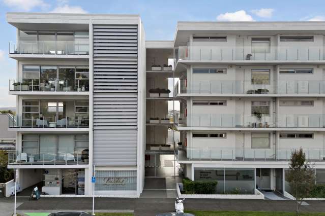 Affordable Grey Lynn - Present All Offers