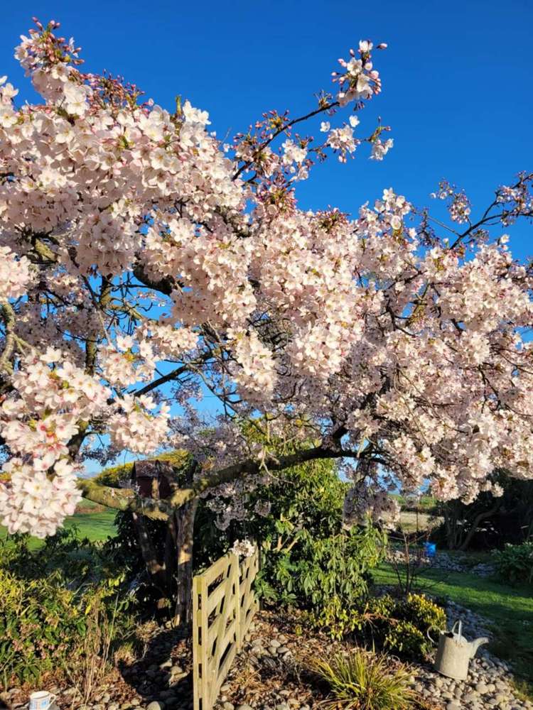 327 Smillies Road Oamaru_29