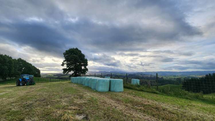 481 Honikiwi Road Otorohanga_12