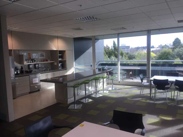 24 Anzac Parade Hamilton East_2