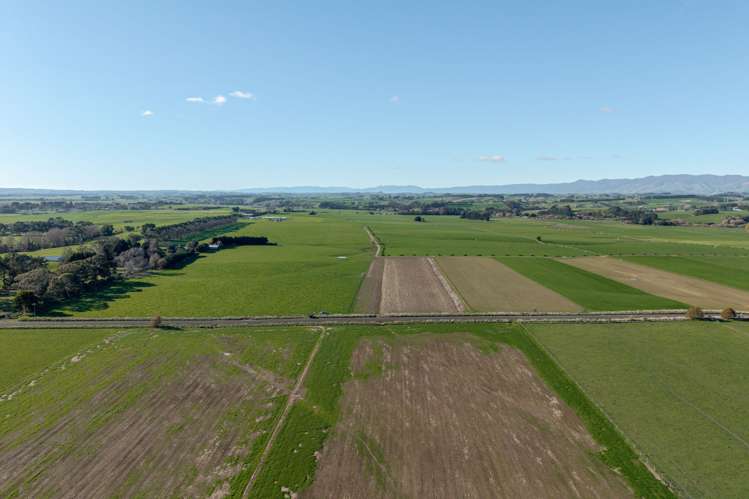 325 Reid Line East Bunnythorpe_12