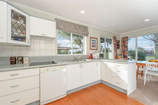 16 Snell Street Morrinsville_1