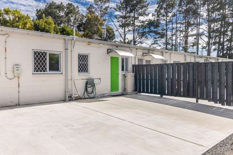 3/31 Rawalpindi Street Mt Albert_13