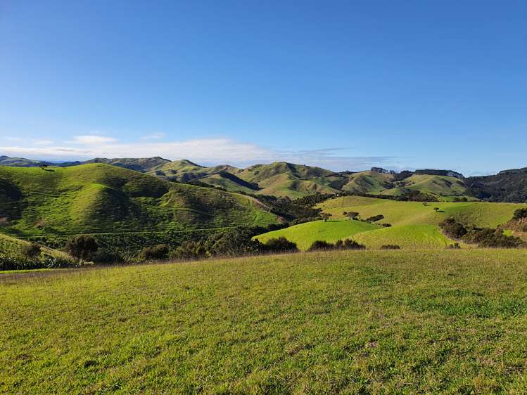 240 Waiheke Road Waiheke Island_7