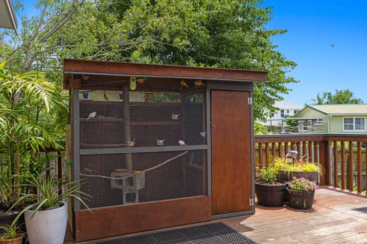 1 Te Papa Place Opotiki and Surrounds_23