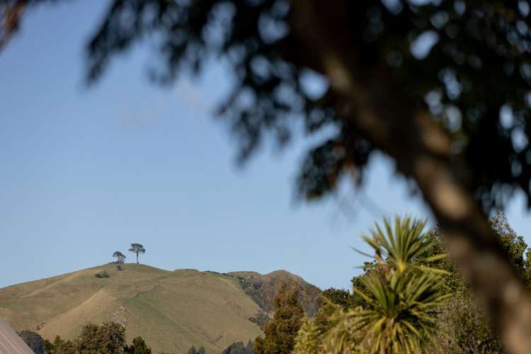 13a Jasper Way Papamoa_14