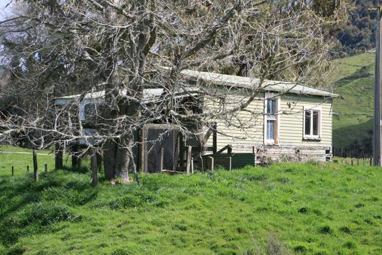 19 Rimuputa Road Tahora_22