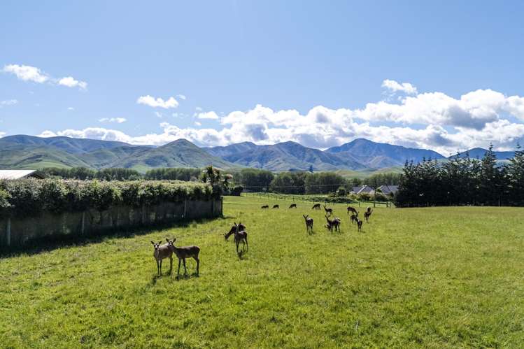 90 Butlers Road Fairlie_16