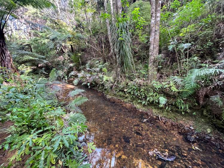 974 Cove Road Waipu_21