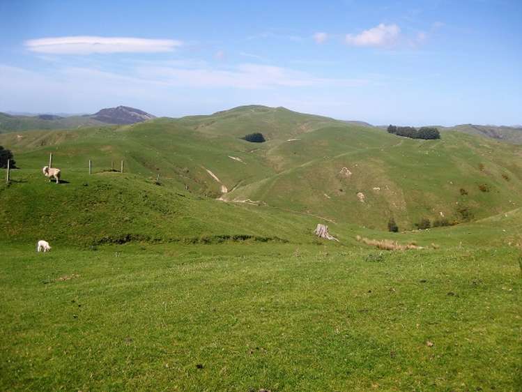 12271 Route 52 Pongaroa_6