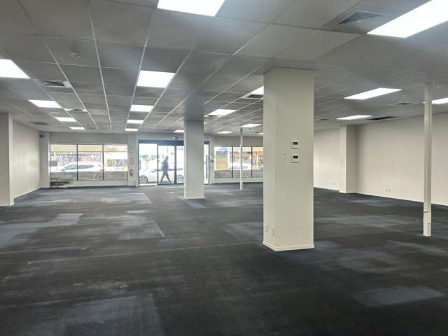 384 Grey Street Hamilton East_2