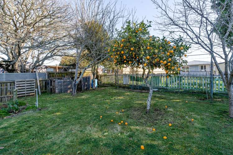 1157 Hazelmere Crescent Te Awamutu_9