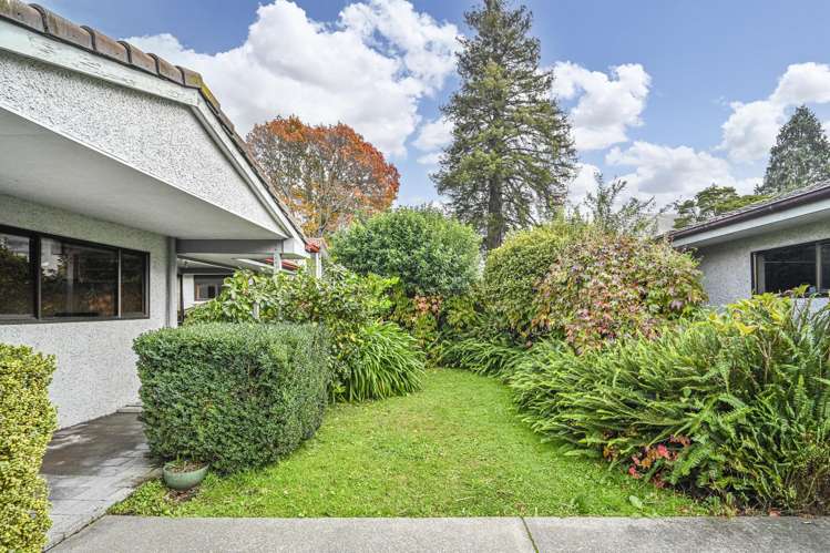 507a Fitzroy Avenue Hastings_11