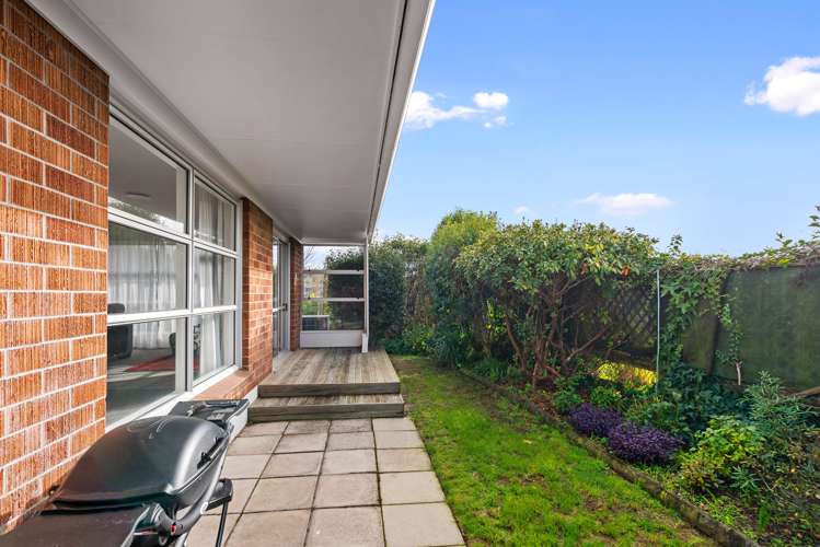 10b Willmott Place Springfield_16