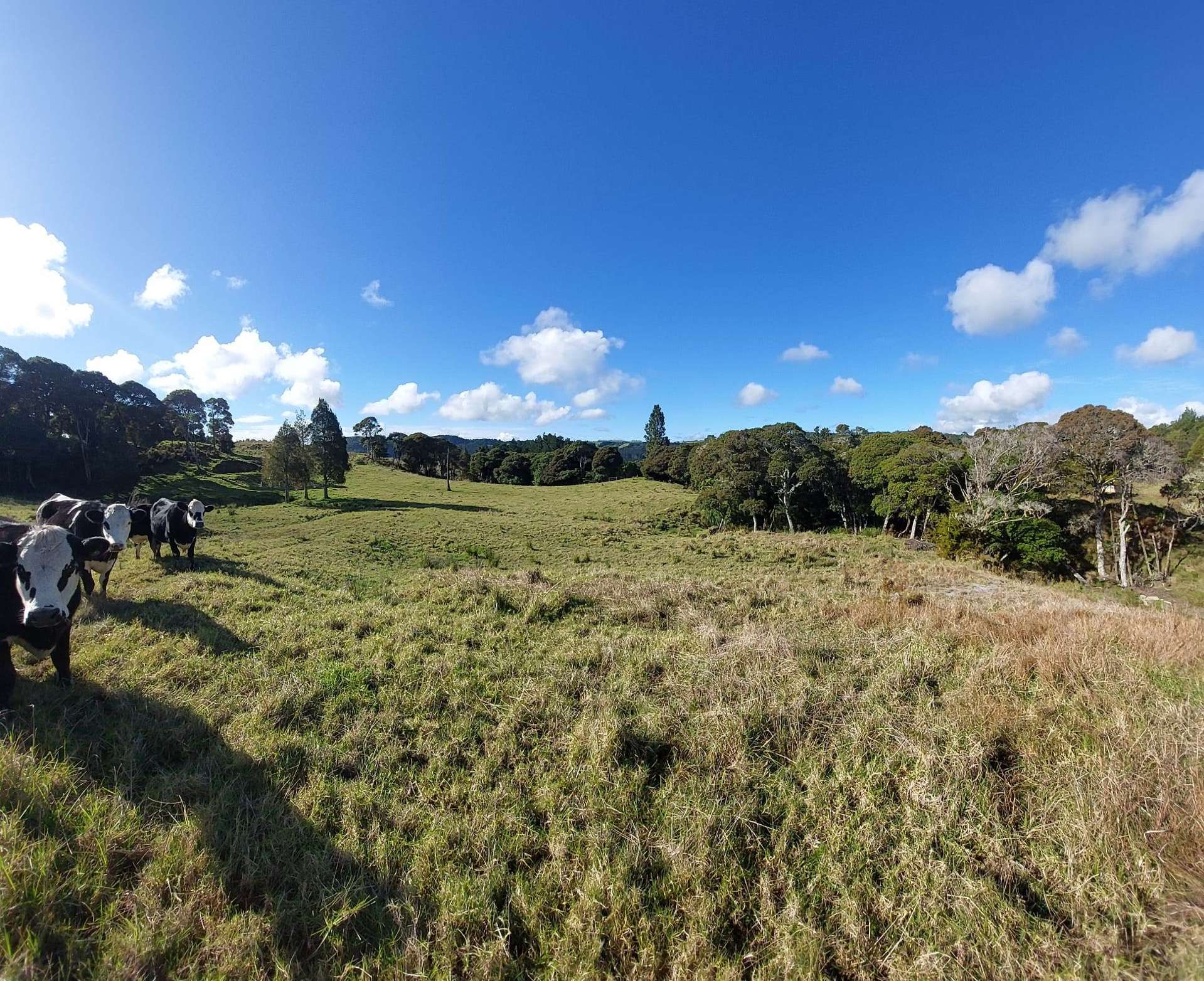 Lot 2/2084 Waiare Road Kaeo_0