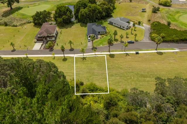 61 Pinehurst Drive Hikuai_3