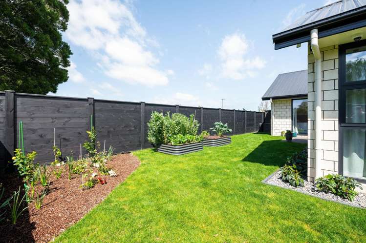 3B Te Rerenga Terrace Cambridge_16