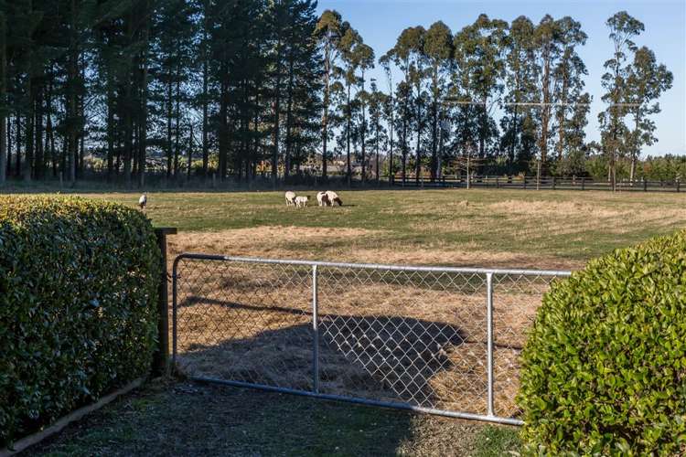 1215 Two Chain Road Swannanoa_16