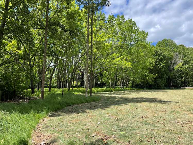 126e Woodcock Road Tamahere_14