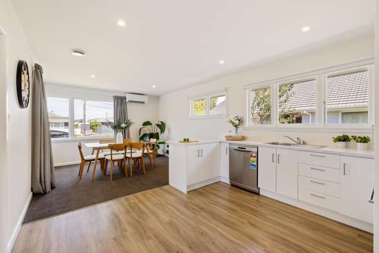 47 Emlyn Place Avondale_3