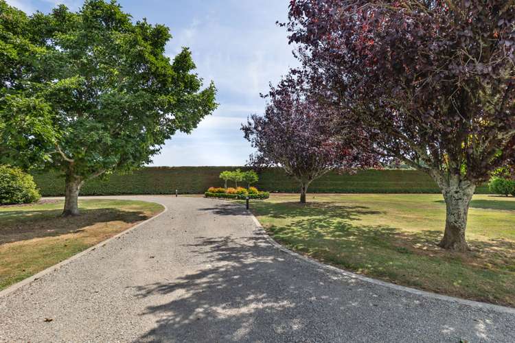 101 Mcleavey Road Ohau_21