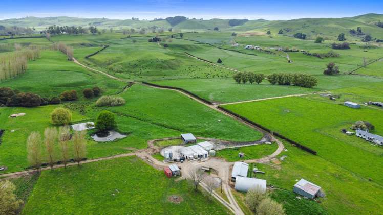 63 Harbottle Road Morrinsville_2