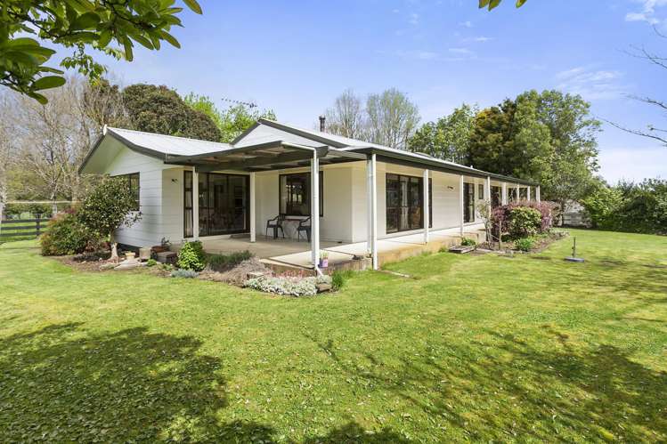 124 Horrell Road Morrinsville_18