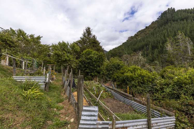 920 Wakamarina Road Havelock_39