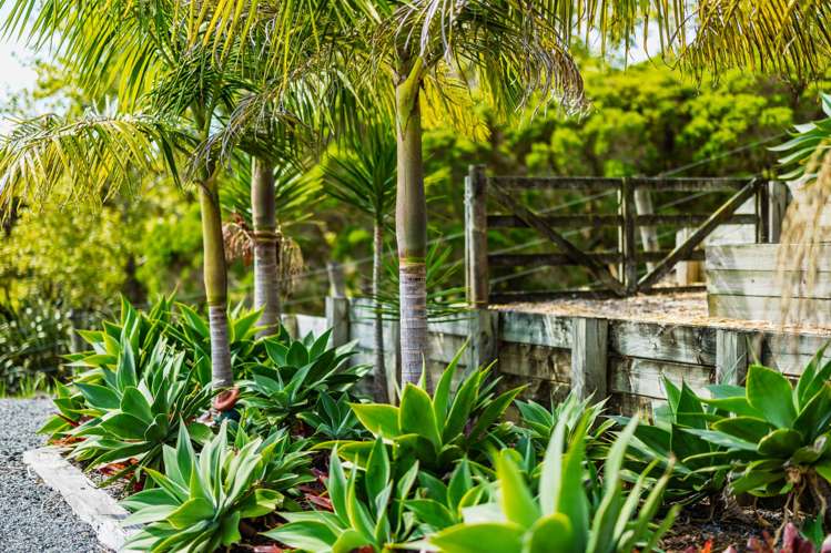 86 Kotuku Road Kerikeri_30