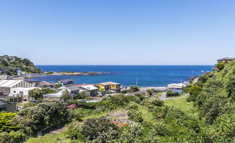 35a Happy Valley Road Owhiro Bay_8