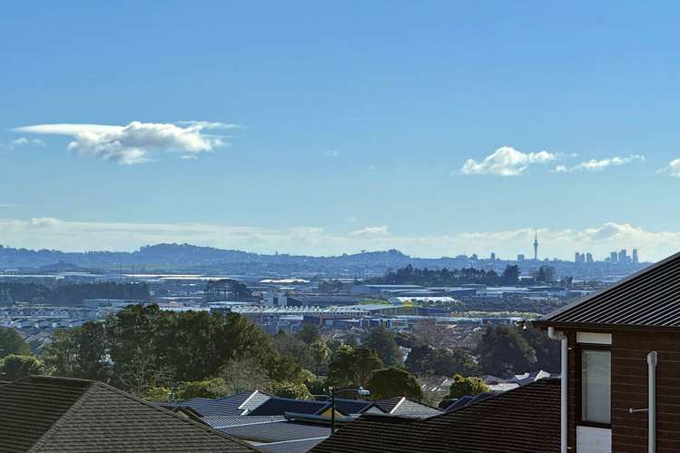 10 Perehia Road Flat Bush_18