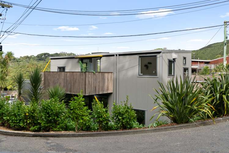 49 Mount Pleasant Road Aro Valley_5