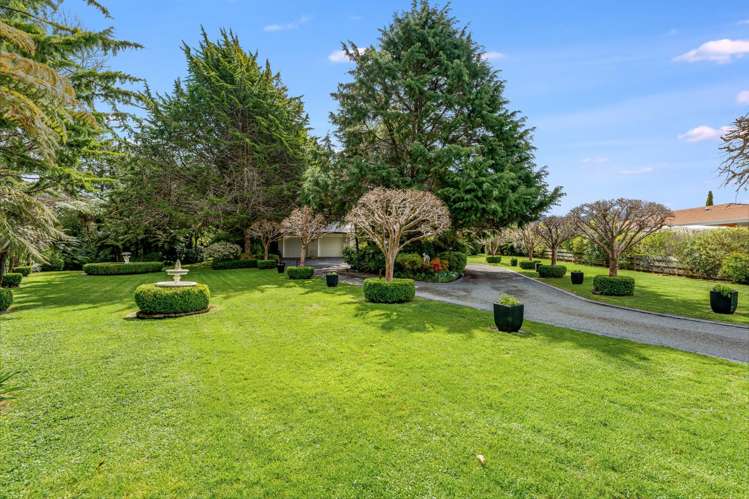 60 Emerald Hill Drive Birchville_25