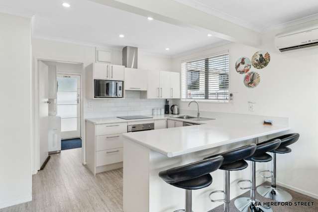 6A Hereford Street Roslyn_3