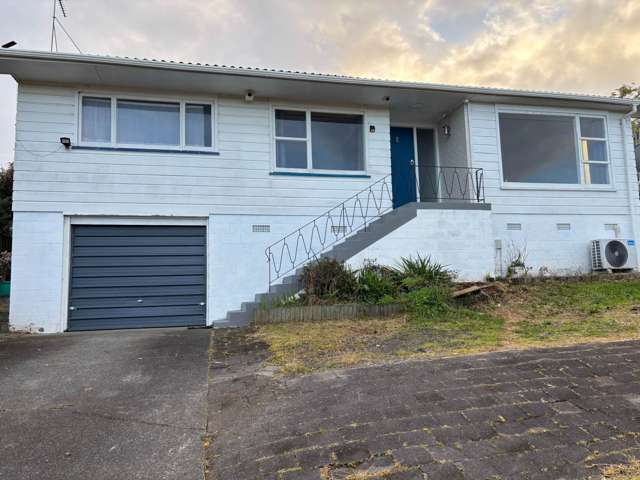 Spacious Newly Renovated Family Home with Larg...