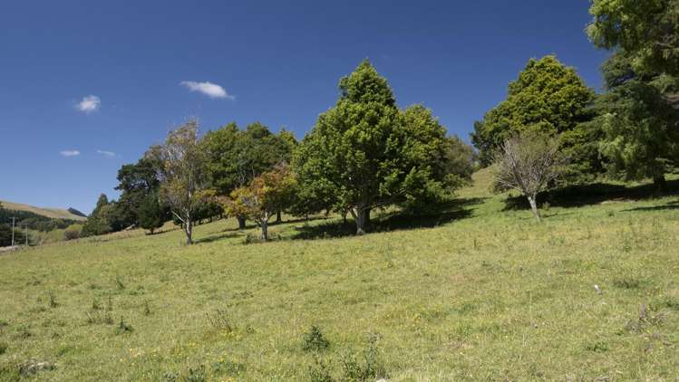 233 South Road Mauriceville_15