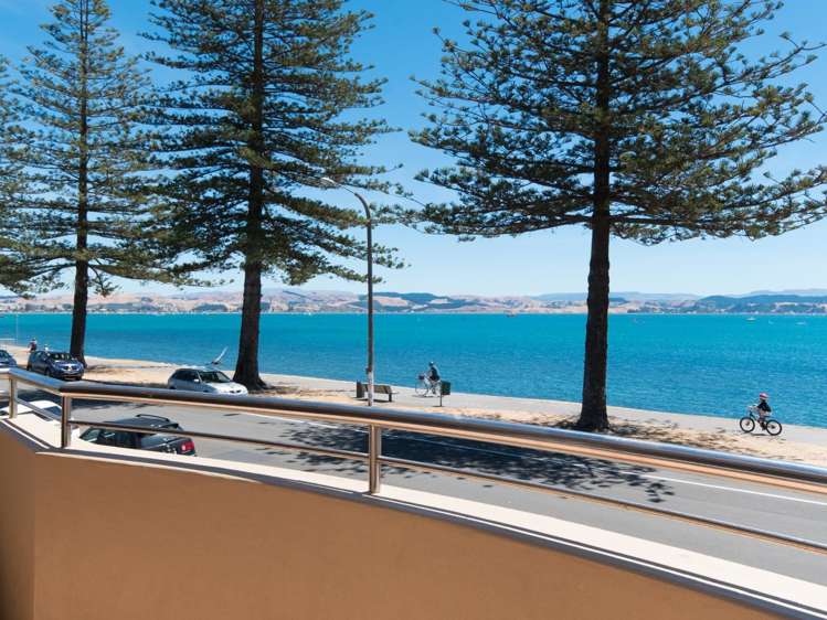 71 Hardinge Road Ahuriri_16