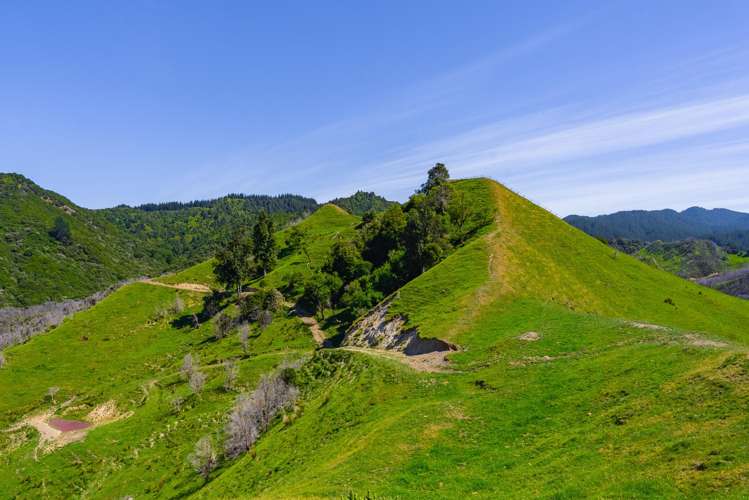 1169 Ruakaka Road Tiniroto_26