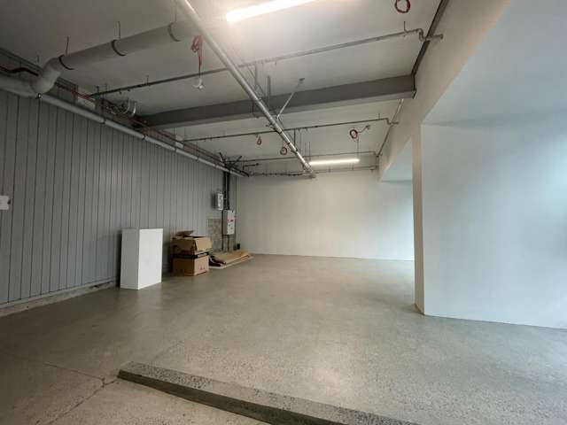 4G/155 Beaumont Street Wynyard Quarter_1