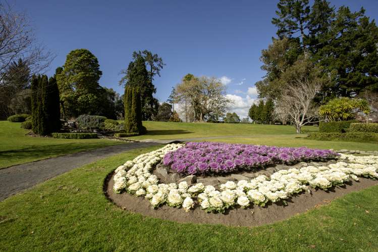 3/430 Fraser Street Parkvale_12