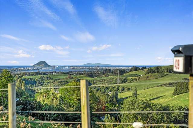 Bush Retreat Overlooking Tauranga City & Harbour