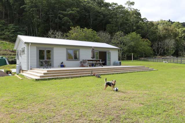 56 Dryden Street Whataupoko_1