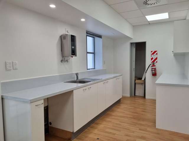 119 Featherston Street Wellington Central_2